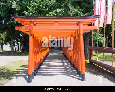 Die Inari Schrein in Suizen-ji Joju-en am 3. September 2019 in Kumamoto. Dieses Heiligtum verankert der gespaltenen Gottheit des Fushimi Inari Taisha in Kyoto. Stockfoto