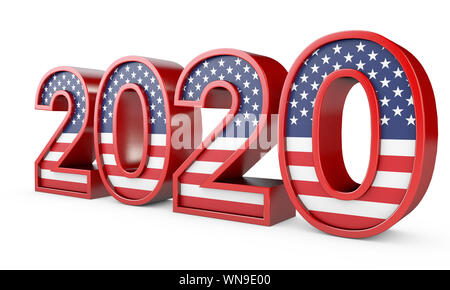 2020 Vereinigte Staaten von Amerika Präsidentschaftswahlen unterzeichnen. 3D-Rendering Stockfoto