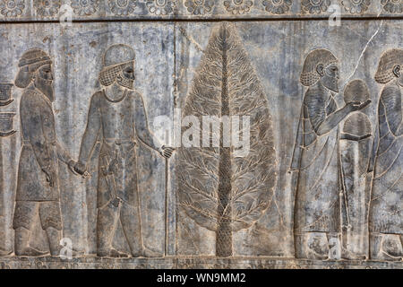 Relief auf Treppe, Apadana Palace, Persepolis, zeremoniellen Hauptstadt des achämenidischen Reichs, Provinz Fars, Iran Stockfoto