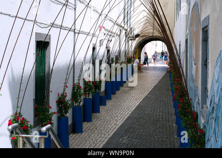 Arbeitstag der Strecke Ponta Delgada-São Miguel, Azoren Stockfoto