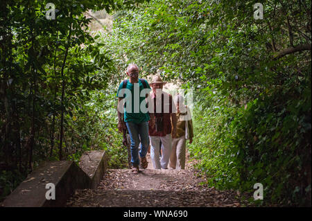 "Wald Baden', bioenergetische Erfahrung mit Marco Nieri. Park Villa Ada, Rom. Italien. Stockfoto