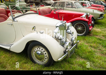 Zwei klassische Englische MG Sportwagen unter anderem klassische Autos an Yattendon Stockfoto