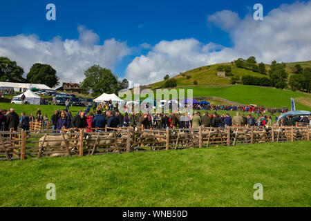 Muker zeigen, 2019, jährlich im September am Muker, Swaledale, Yorkshire Dales, England. Landwirtschaft zeigen. Swaledale Schafe Landschaft. Platz für Kopie Stockfoto