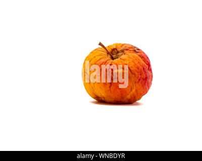 Faule redorange farbige Apple auf weißem Hintergrund. Stockfoto