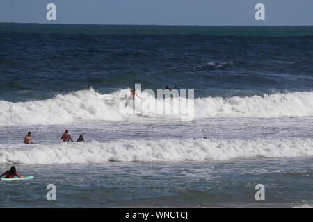 Surfer in La Grande Plage - Biarritz Stockfoto