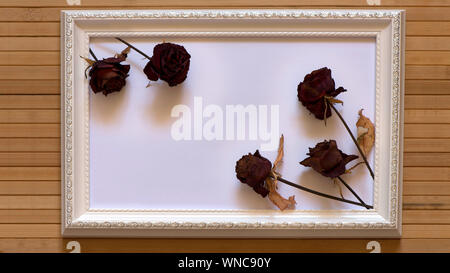 Weißer Rahmen mit fünf getrocknete rote Rosen und weiße Leinwand auf natürliche Bambus Wand. Horizontale Bild 16: 9 mit nützlich für Ihren Text hinein. Stockfoto