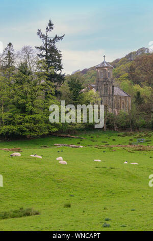 Schöner Blick auf die Kirche der Heiligen Dreifaltigkeit, Brathay, in der Nähe von Ambleside, Cumbria, mit Schafe weiden in das Feld im Vordergrund, Vereinigtes Königreich Stockfoto