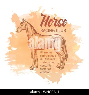 Hand gezeichnete Skizze Pferd. Horse Racing Club handdrawn Hintergrund für Werbung Design. Vector vintage Abbildung mit braunen Spritzer Stock Vektor