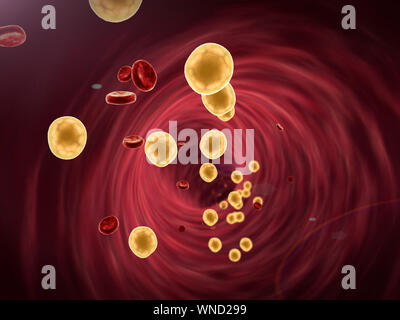 Fat cell und Erythrozyten im Blut, im Blutgefäß, hochwertige 3D-Render von Blutzellen, Cholesterin im Blut Stockfoto