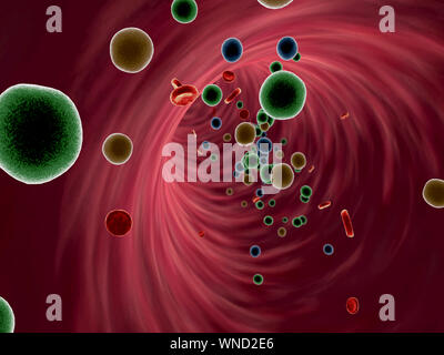 Fat cell und Erythrozyten im Blut, im Blutgefäß, hochwertige 3D-Render von Blutzellen, Cholesterin im Blut Stockfoto