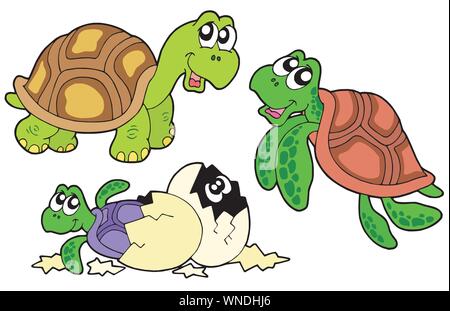 Schildkröten Sammlung Stock Vektor