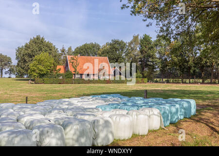 Holländische Landschaft der Region Twente mit Heuballen in Kunststoff verpackte Stockfoto