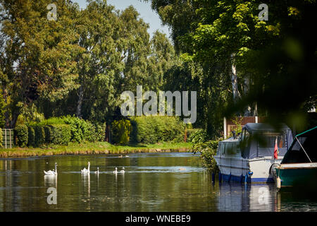 Bridgewater Canal kleine Marina Appleton Warrington, Cheshire, England. Stockfoto