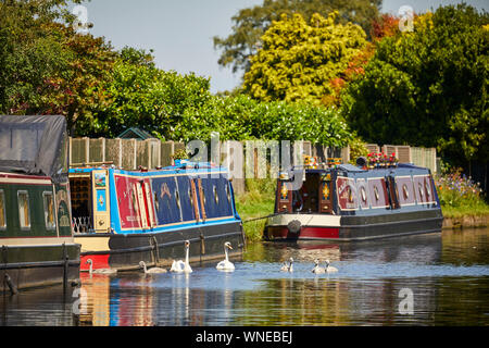 Bridgewater Canal kleine Marina Appleton Warrington, Cheshire, England. Stockfoto