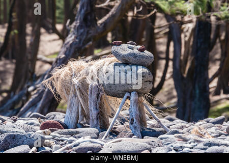 Hawai'i, die grosse Insel, Nord Kahala, Pololu Strand Hund Stockfoto