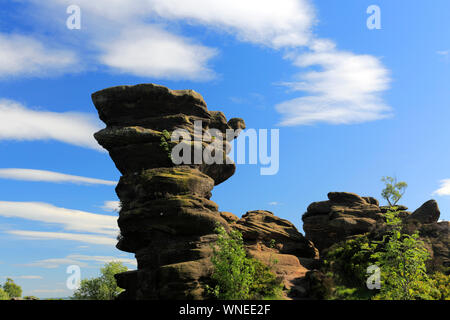 Die Gritstone Felsformationen an Brimham Rocks, Nidderdale, North Yorkshire, England, Großbritannien Stockfoto