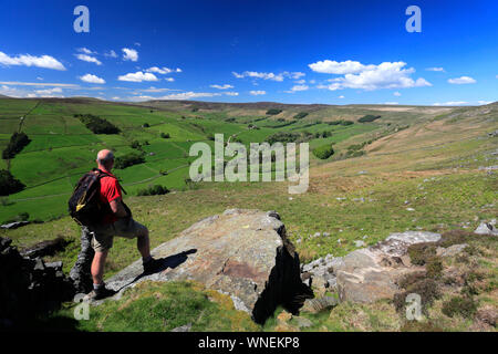 Sommer Blick durch Nidderdale ANOB, North Yorkshire, England. Stockfoto