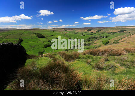 Sommer Blick durch Nidderdale ANOB, North Yorkshire, England. Stockfoto