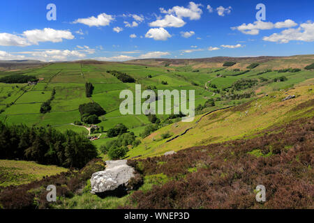 Sommer Blick durch Nidderdale ANOB, North Yorkshire, England. Stockfoto