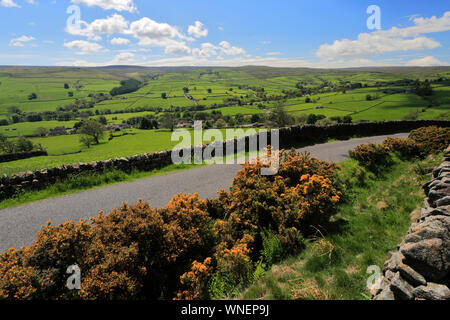 Sommer Blick durch Nidderdale ANOB, North Yorkshire, England. Stockfoto