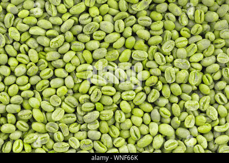 Grüne Kaffeebohnen Hintergrund. Medium grün peaberry Kaffeebohnen Stockfoto