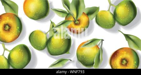 Apple Früchte Muster Vektor Aquarell. Ansicht von oben Herbst Ernte Stock Vektor