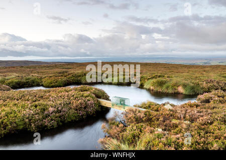 Überdachte Fenn Trap montiert auf einer Wasserstraße auf einer North Pennine Grouse Moor, Großbritannien Stockfoto