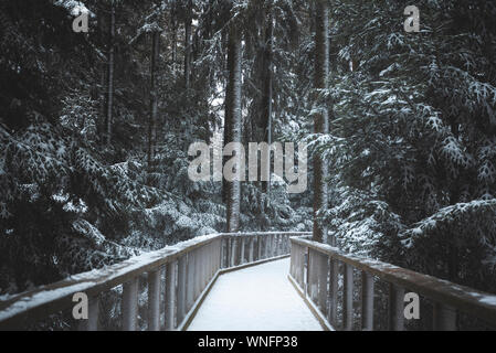 Hölzerne Hängebrücke über den verschneiten Wald, unter schneebedeckten Bäumen, in Bad Wildbad, Deutschland. Berühmte high Braut über Bäume, im Winter. Stockfoto