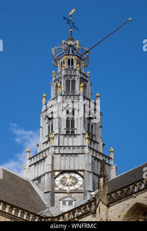 Niederlande, Nordholland, Haarlem, Grote Kerk Turm Stockfoto