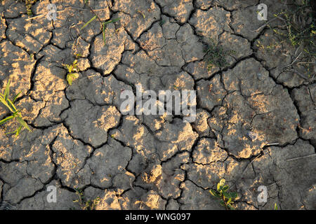 Tiefe Risse in trockenen Boden. Dürre oder Klimawandel Tapeten oder Hintergrund. Stockfoto