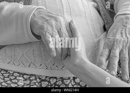 Closeup weibliche Hand, die eine faltige Hand einer älteren Frau Stockfoto
