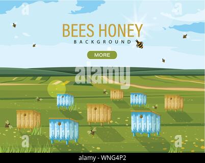 Honey Bee hives Vektor. Bienen fliegen. Natur Hintergrund Vorlage Stock Vektor