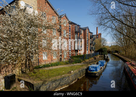 Tameside Apartments, Portland Basin Ashton-under-Lyne, Dukinfield Kreuzung Peak Wald Canal, Ashton Canal, Huddersfield schmalen Kanal Stockfoto