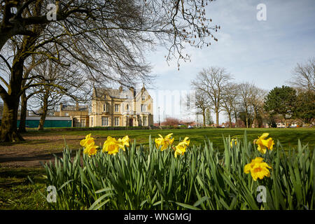 Tameside Ryecroft Hotel Manchester Rd, Audenshaw, wunderschönes denkmalgeschütztes civic Gebäude gespendet, um die Menschen in Audenshaw durch Austin Hopkinson im 19. Stockfoto