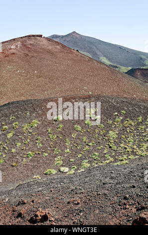 Der Ätna, Europas größter aktiver Vulkan; Natur, Verwüstung, einige Vegetation, Zerstörung, Catania, Sizilien, Italien; Sommer; Vertikal Stockfoto