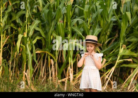 Stilvolles kleines Kind in einen Hut mitten in einem Maisfeld. Erntezeit. Ökologische Landwirtschaft für Kinder. Niedliche Kind an einem sonnigen Sommertag Stockfoto