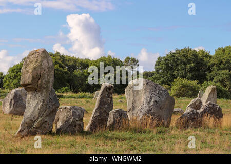 Alignements de Kermario, Zeilen der stehenden Steine - Menhire, Carnac, Bretagne, Frankreich Stockfoto