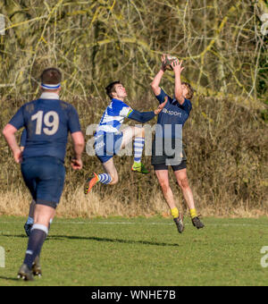 Amateur Rugby Union, zwei gegnerische Spieler oben springen zu fangen Drop Ball. Stockfoto