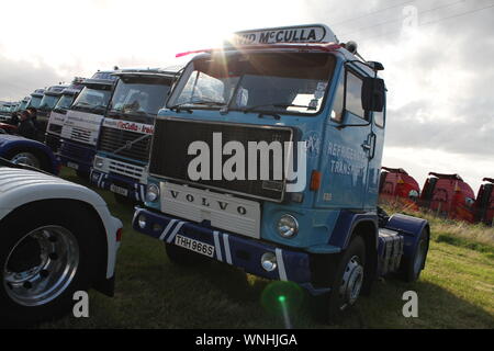 Eine Reihe von Lastwagen McCulla der Kühltransporte gesehen mit der vordersten, ein Volvo F 88 290 HP (FH) Stockfoto