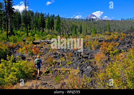 Eine weibliche Wanderer navigdates einen schmalen Waldweg durch eine Lava Bett in der Mount Jefferson Wüste, Cascade Mountains, Oregon. Stockfoto