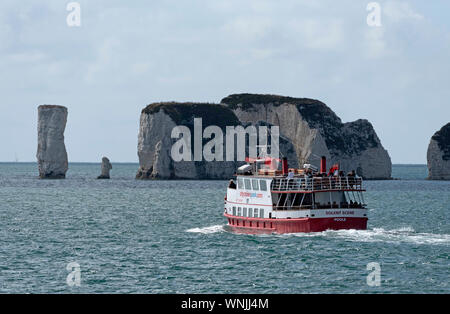 Studland, Dorset, England, UK. September 2019. Eine Bootsfahrt ausgehende von Poole der Old Harry Rocks auf der North Coast in Dorset, Großbritannien zu sehen. Stockfoto