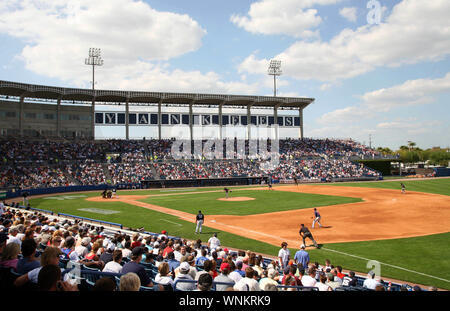 Das Atlanta Braves Spiel der New York Yankees in einem Frühling Training Spiel bei George M. Steinbrenner Field in Tampa, Florida. Stockfoto