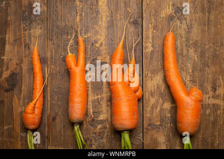 Hässliche Karotten auf hölzernen Hintergrund frisch gepflückt aus dem Garten. Organic Food Konzept. Ansicht von oben. Stockfoto