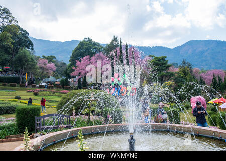 Chiang Mai, Thailand - Januar 26, 2019: Blick auf die Menschen genießen mit Brunnen bei Khun Wang Royal Projekt, eine Forschungsstation für die Landwirtschaft auf die Slop Stockfoto