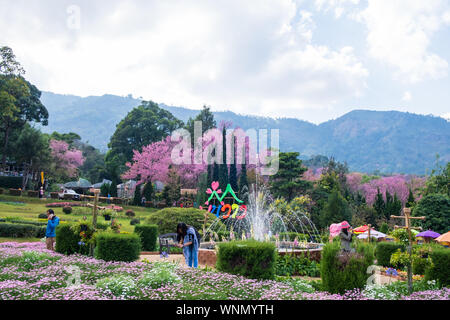 Chiang Mai, Thailand - Januar 26, 2019: Blick auf die Menschen genießen mit Brunnen bei Khun Wang Royal Projekt, eine Forschungsstation für die Landwirtschaft auf die Slop Stockfoto