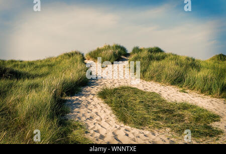 Strand und Dünen Gras am Ellenbogen Strand auf der Insel Sylt. Stockfoto