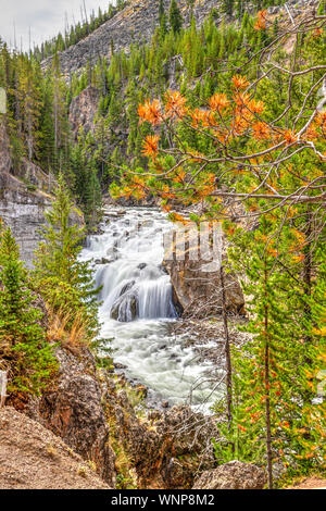 Firehole fällt auf firehole River im Yellowstone National Park, Wyoming, USA. Stockfoto