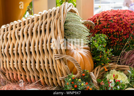 Kürbisse in Rattan Körbe auf dem Hintergrund von Blüten und Beeren. Stockfoto