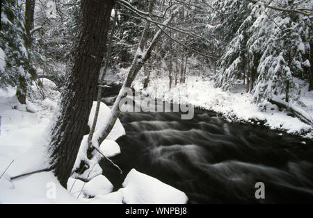 White Mountain Stream im Winter, New Hampshire Stockfoto