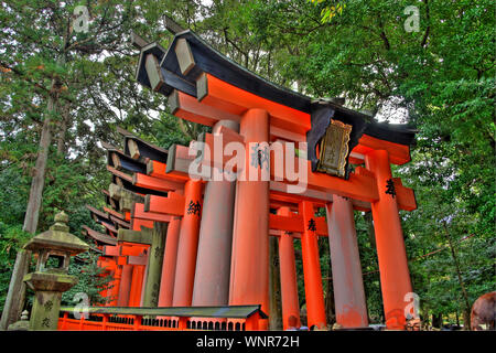 Fushimi Inari Schrein torii Tor in Wald in Kyoto, Japan Stockfoto